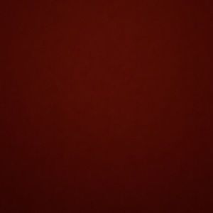 Meet your Posher, Kylee