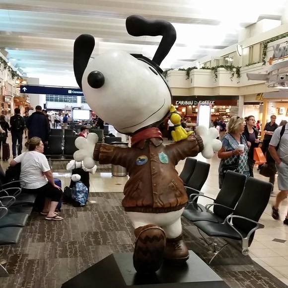 Meet your Posher, Toby - Picture 1 of 1