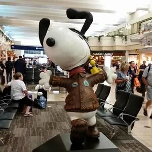 Meet your Posher, Toby