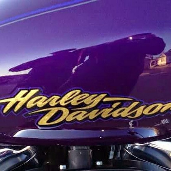 Meet your Posher, Debra - Picture 1 of 1