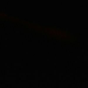 Meet your Posher, Terry