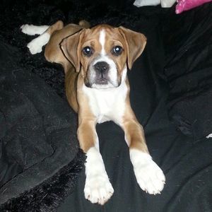 Meet your Posher, Martha