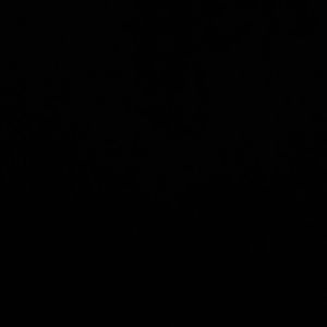 Meet your Posher, Connor