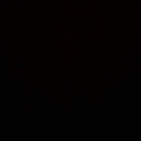 Meet your Posher, Jaylon - Picture 1 of 1