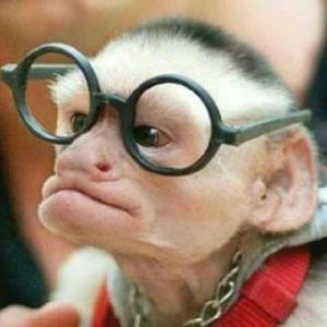 Meet your Posher, Sherry