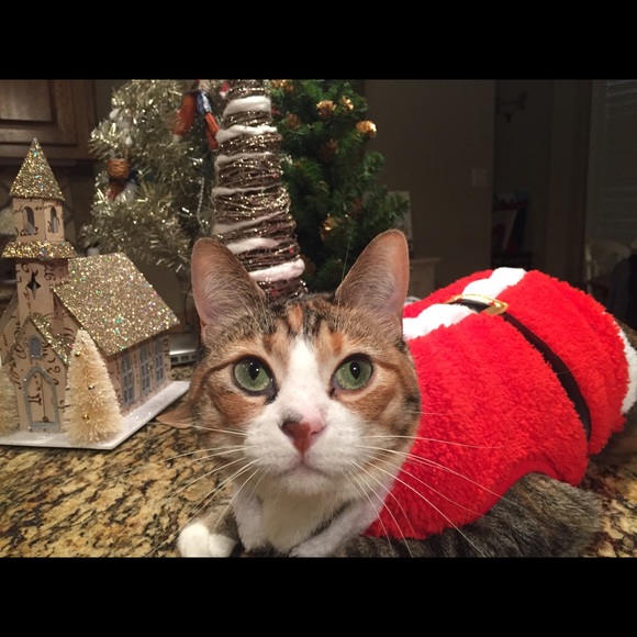 Meet Me! - Picture 5 of 7