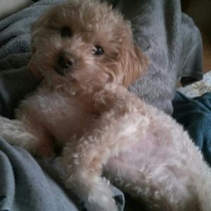 Meet your Posher, Jill