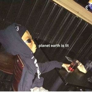 Meet your Posher, Joey