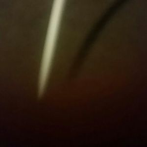 Meet your Posher, Dylan