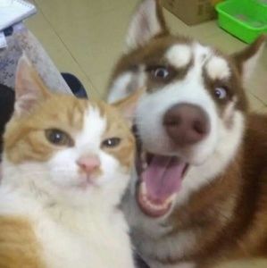 Meet your Posher, Monica