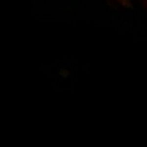 Meet your Posher, Rita