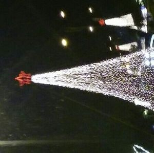 Meet your Posher, Cecilia