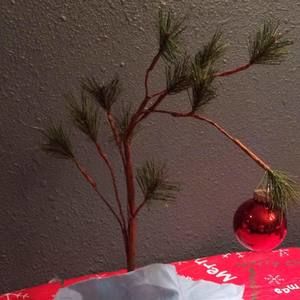 Meet your Posher, Sandy