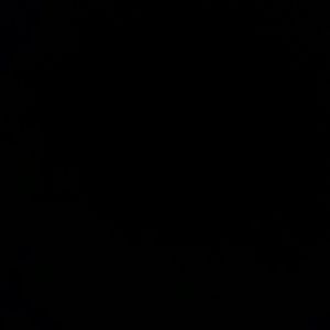 Meet your Posher, Daisy