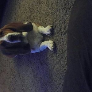 Meet your Posher, Natalie