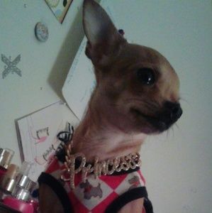 Meet your Posher, Monica