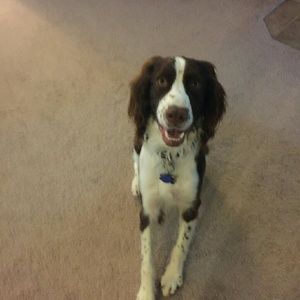 Meet your Posher, Shawna