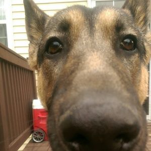 Meet your Posher, Cole