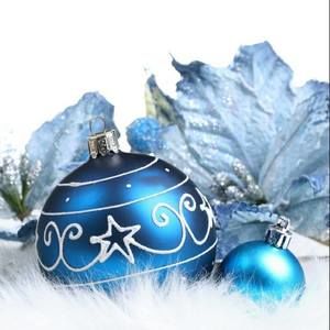 Meet your Posher, Suzanne