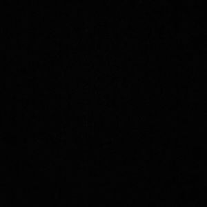 Meet your Posher, Luis