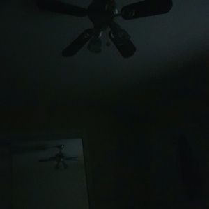 Meet your Posher, Rodney