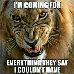 Meet your Posher, Joey