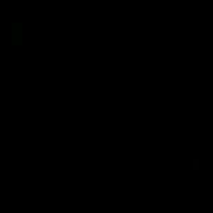 Meet your Posher, Luis