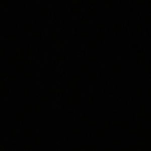 Meet your Posher, Toni