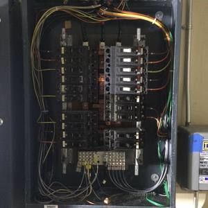 Meet your Posher, Misty