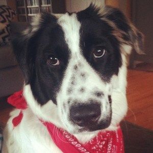 Meet your Posher, Liz