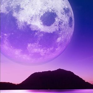 Meet your Posher, Audrey