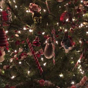 Meet your Posher, Molly