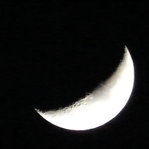 Meet your Posher, Adrienne