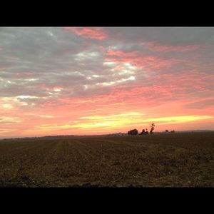 Meet your Posher, Bridget