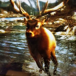 Meet your Posher, Phylis