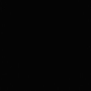 Meet your Posher, Shelby