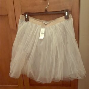 Ivory Tulle skirt