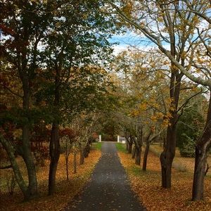 Meet your Posher, Geraldine