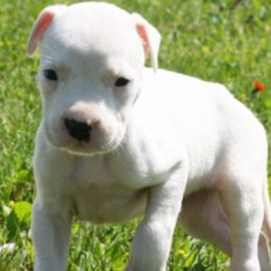 Meet your Posher, Kaylee