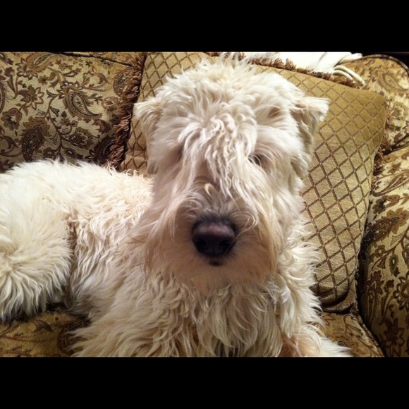 Meet your Posher, Karin