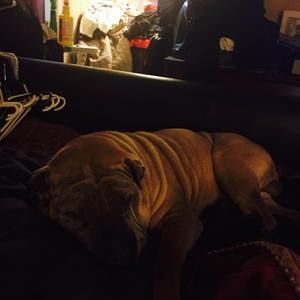 Meet your Posher, Ken