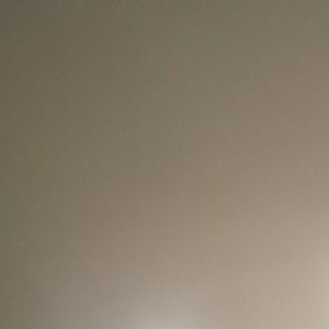 Meet your Posher, Gus