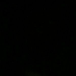 Meet your Posher, Latoya