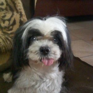 Meet your Posher, Billy