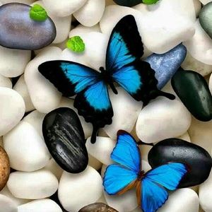 Meet your Posher, Ivonne