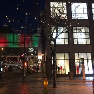 Meet your Posher, Ann