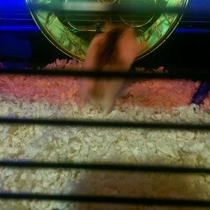 Meet your Posher, Joanna