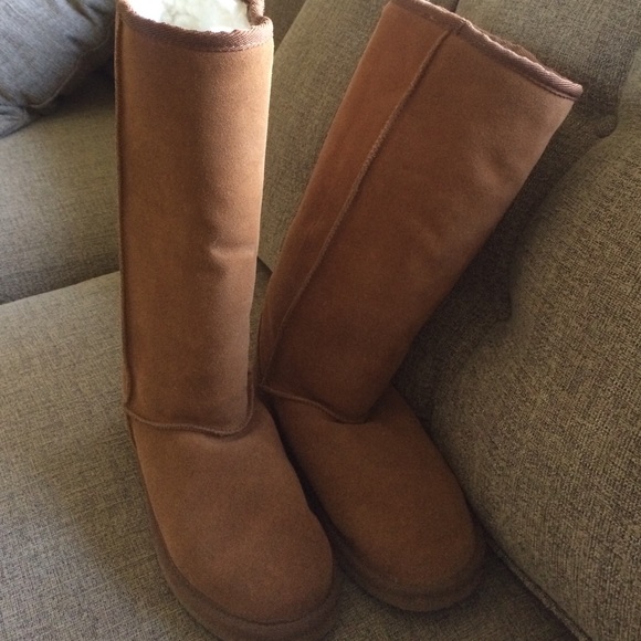 Alpine brand "ugg" boots
