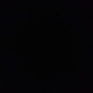 Meet your Posher, Dylan