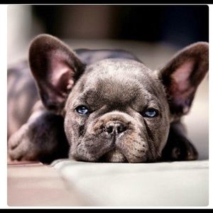 Meet your Posher, Brandy